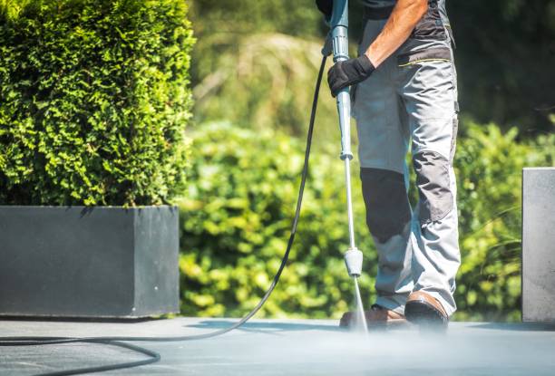 Best Animal Enclosure Cleaning  in Little Ferry, NJ